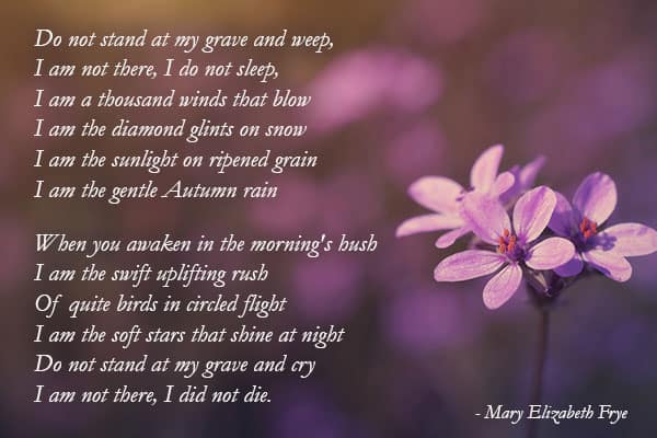 Mary-Elizabeth-Frye-Quote