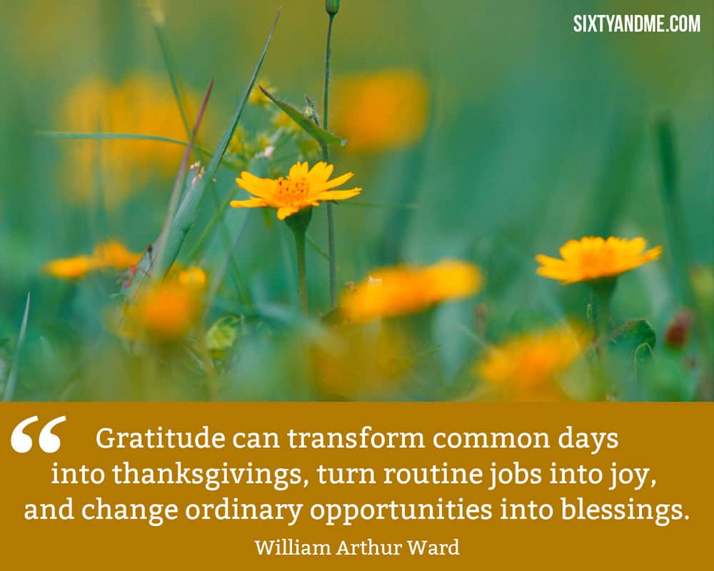 "Gratitude can transform common days into thanksgivings, turn routine jobs into joy, and change ordinary opportunities into blessings." - William Arthur Ward