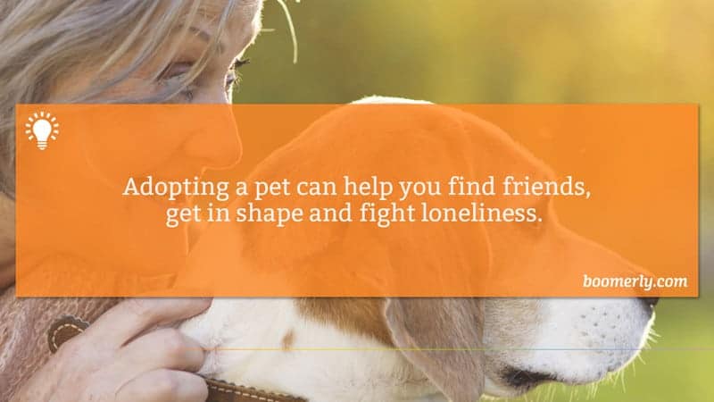 Getting a Pet Can Help You Find Friends and Beat Loneliness
