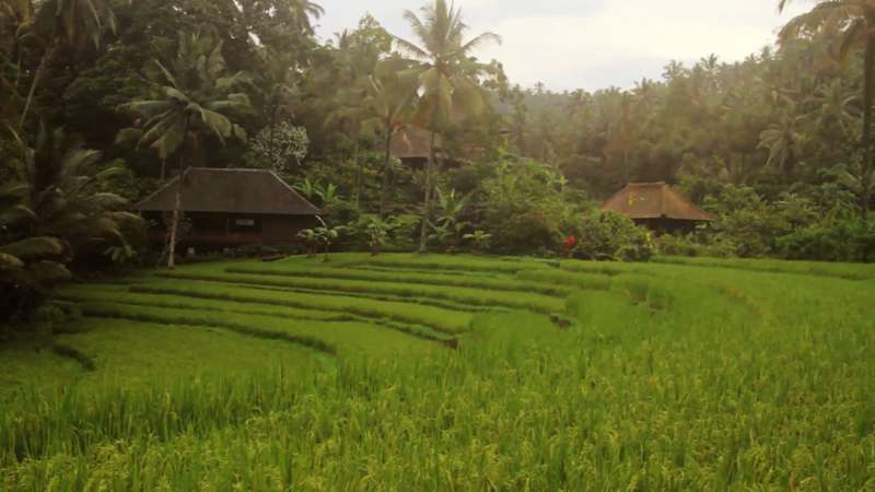 Bali Eco Stay