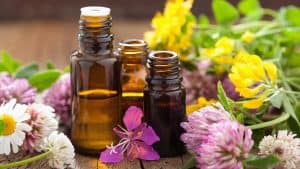 healthy aging herbal remedies