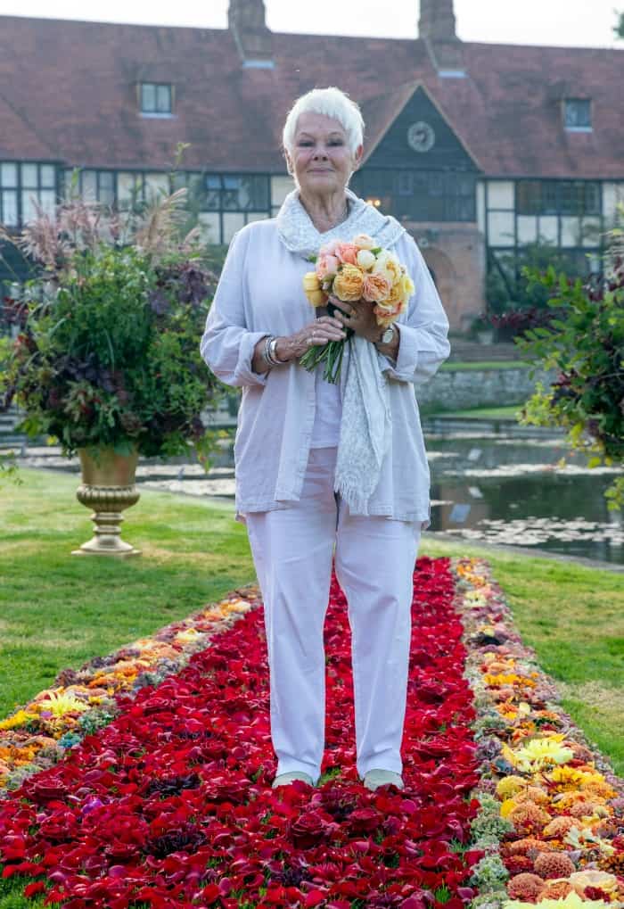 Judi Dench Shows Off Classic Look at Flower Show