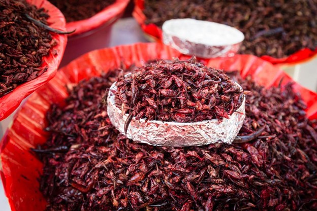 Chapulines (roasted grasshoppers) in the Oaxaca City market