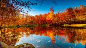 fall foliage destinations