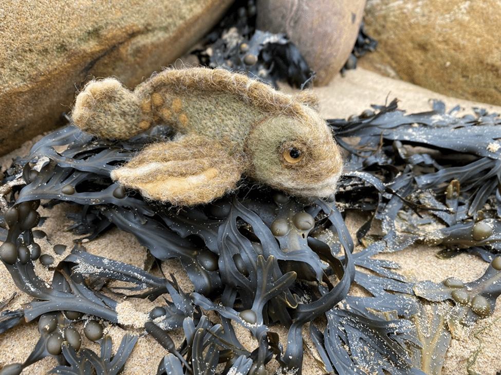 Needle felted blenny, Enter the Wildwoods