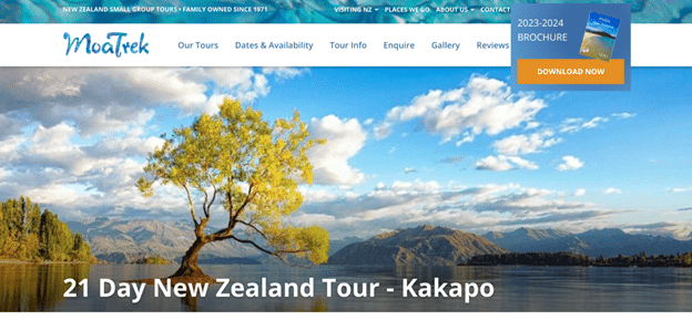 21-Day New Zealand Tour – Kakapo