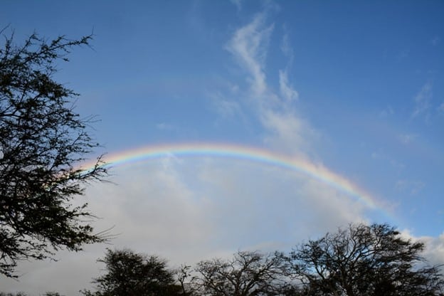 Rainbows of South Kohala