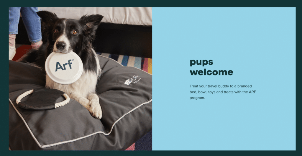 10 Pet-Friendly Hotels in the USA | Sixty and Me